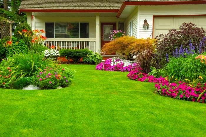 Be water-aware: Make sure you know the details of Denver Water's outdoor watering rules and drought restrictions.